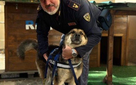 Rex protagonista del progetto “Scuole Sicure” alla scuola “Giulio Cesare”