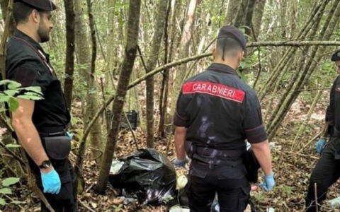 Scoperte armi e droga nei boschi della Tolfa