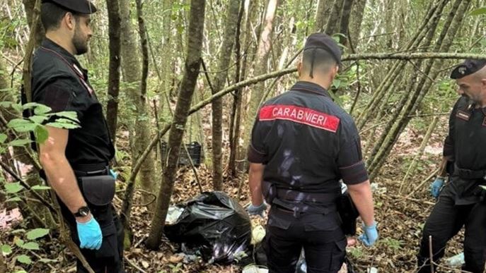 Scoperte armi e droga nei boschi della Tolfa