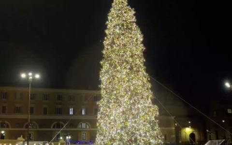 Arriva a piazza del Popolo l’albero di Natale di 20 metri per le festività 2025