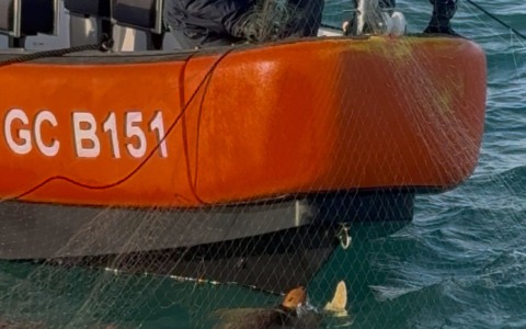 Capitaneria di Porto salva una tartaruga intrappolata in una rete da pesca