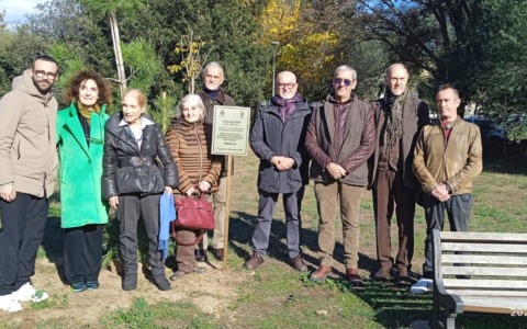 Fregene omaggia Nanni Loy con un pino d’Aleppo