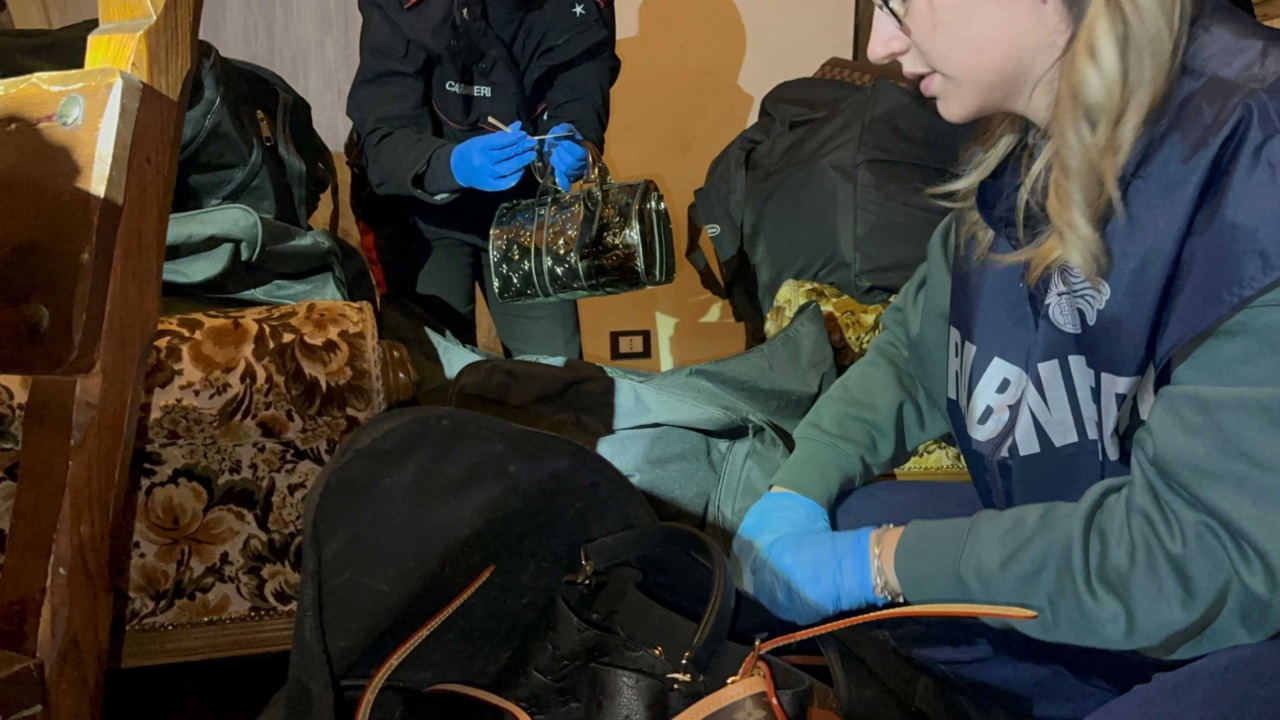 Recupero di borse di lusso rubate da Valentino e Vuitton per un valore di 400 mila euro