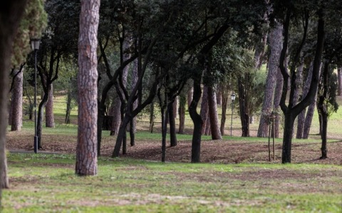 Avviati i lavori per il Piano del Verde e della Natura di Roma