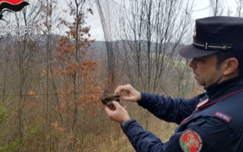Bracconaggio: 19 denunce tra ottobre e dicembre