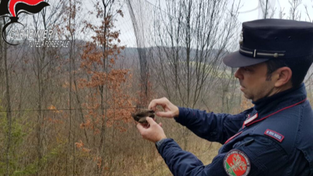 Bracconaggio: 19 denunce tra ottobre e dicembre