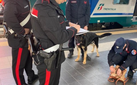 Operazione dei Carabinieri per contrastare illegalità e degrado durante il ponte dell’Immacolata