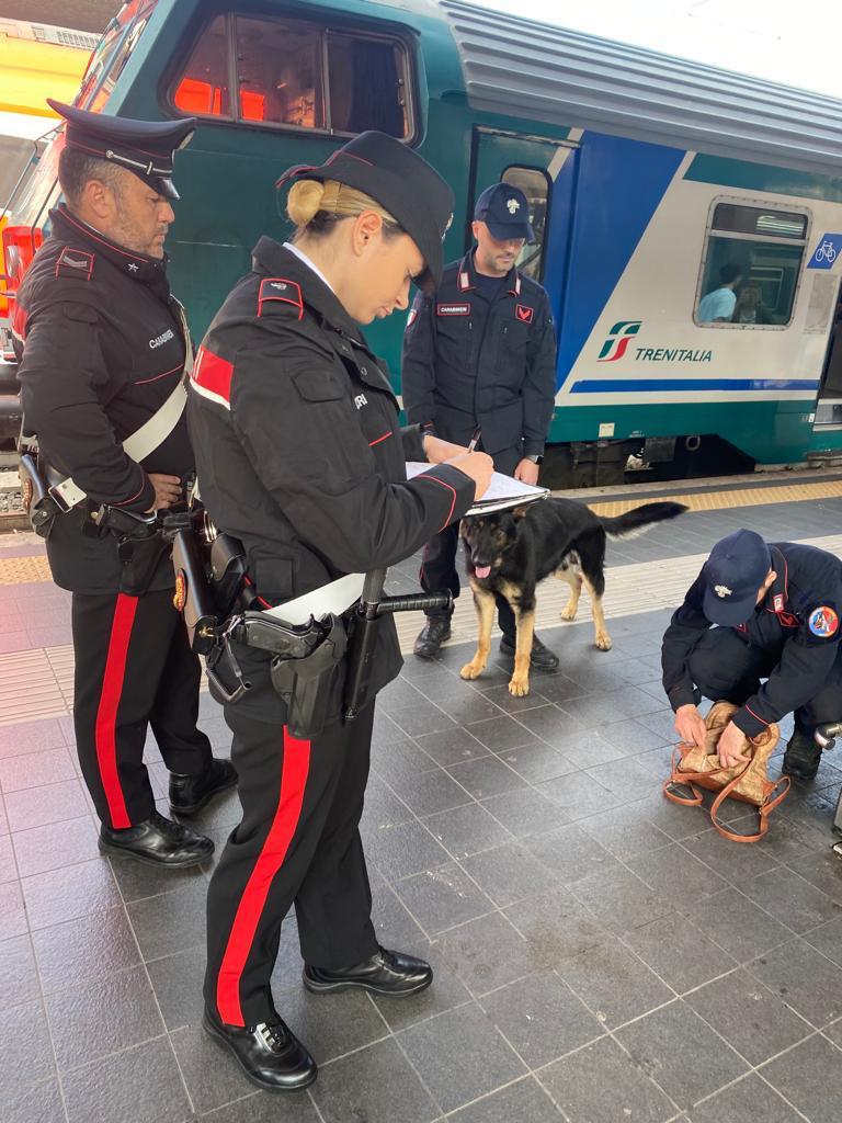 Operazione dei Carabinieri per contrastare illegalità e degrado durante il ponte dell’Immacolata