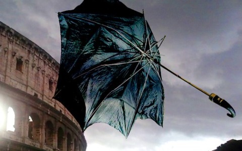 Caduta di un albero danneggia auto in sosta a Roma