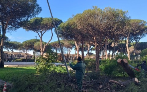 Chiusura temporanea del Parco Pineta Mazza per lavori di messa in sicurezza