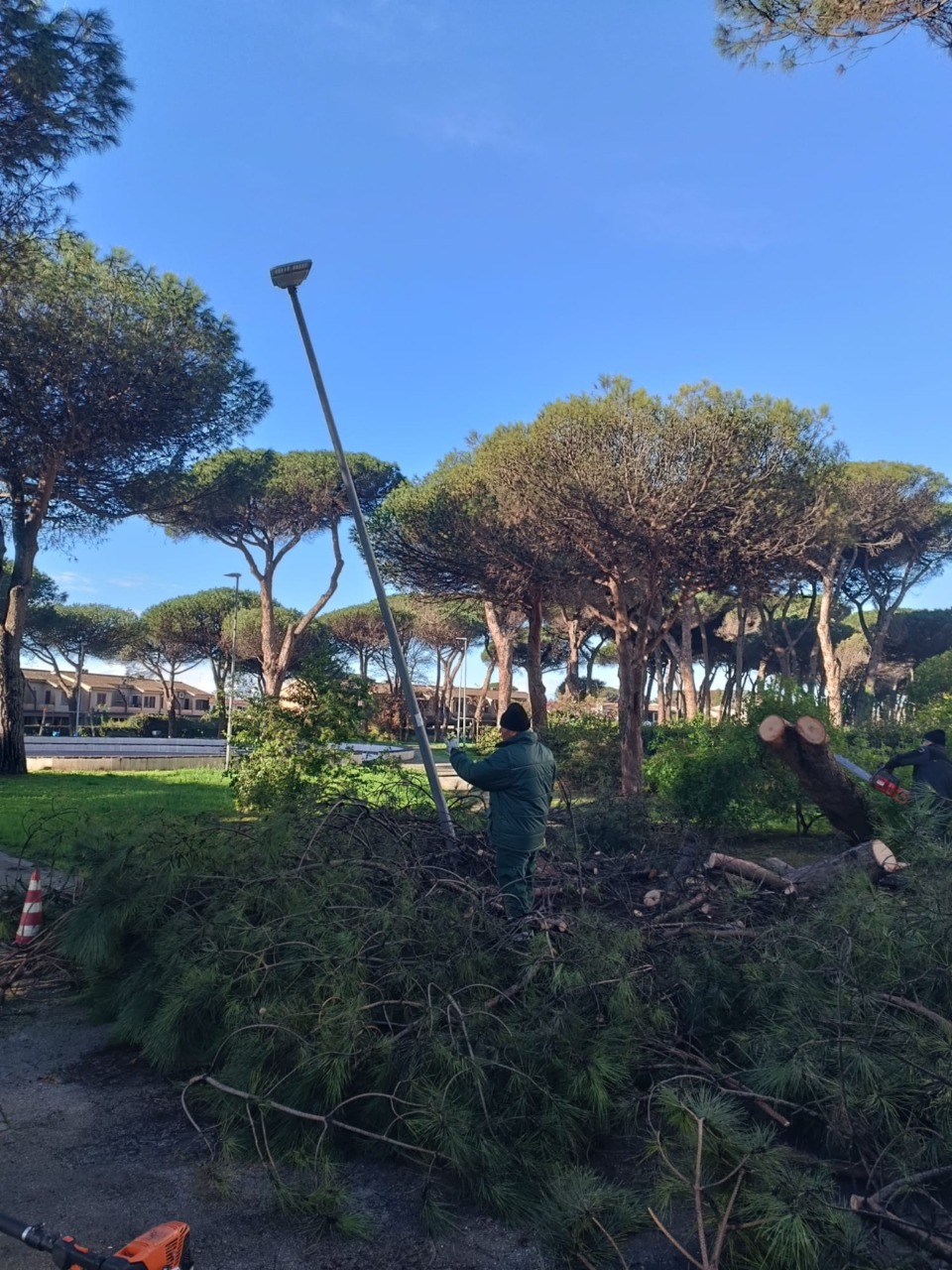 Chiusura temporanea del Parco Pineta Mazza per lavori di messa in sicurezza