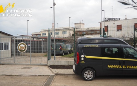 Civitavecchia, inaugurata area di addestramento per le unità cinofile della Guardia di Finanza