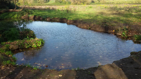Giornata Mondiale delle Zone Umide, il WWF evidenzia la necessità di proteggere la biodiversità
