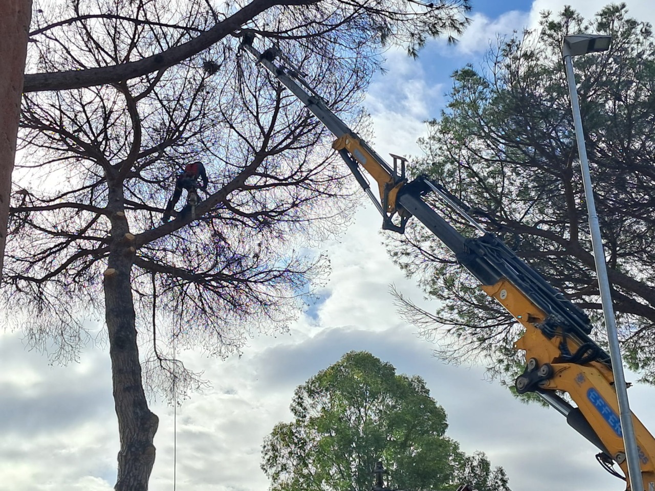 Interventi di ARSIAL per la salvaguardia del verde a Testa di Lepre