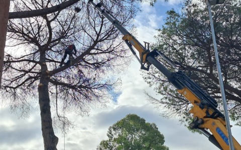 Interventi di ARSIAL per la salvaguardia del verde a Testa di Lepre
