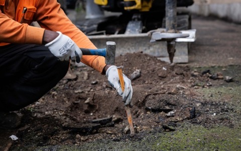 Interventi di riqualificazione arborea in via Battistini
