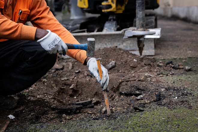 Interventi di riqualificazione arborea in via Battistini
