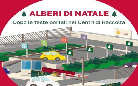 Raccolta degli Alberi di Natale a Roma fino al 18 gennaio