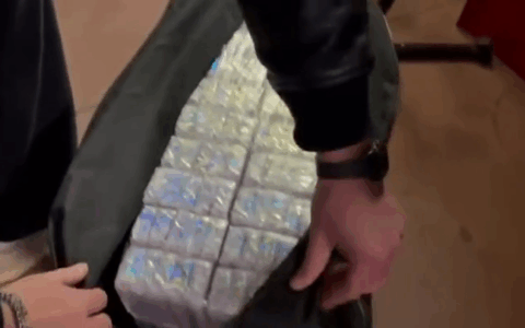 Scoperta a Centocelle: 60 chili di droga in un box, arrestato un uomo