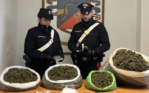 Scoperti quasi 9 Kg di marijuana nel fosso: due arresti dei Carabinieri