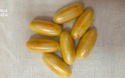 Arrestata una donna sudamericana con cocaina ingerita in ovuli