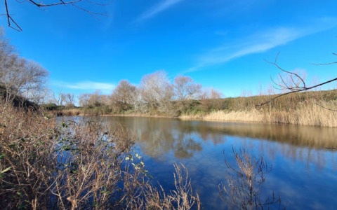 Continuano le attività del WWF sulle zone umide