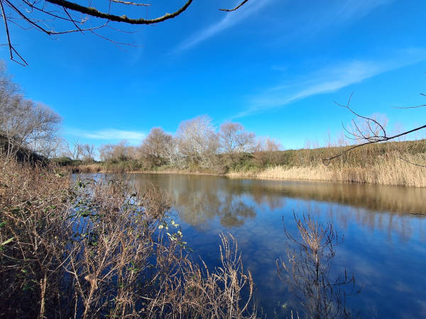 Continuano le attività del WWF sulle zone umide