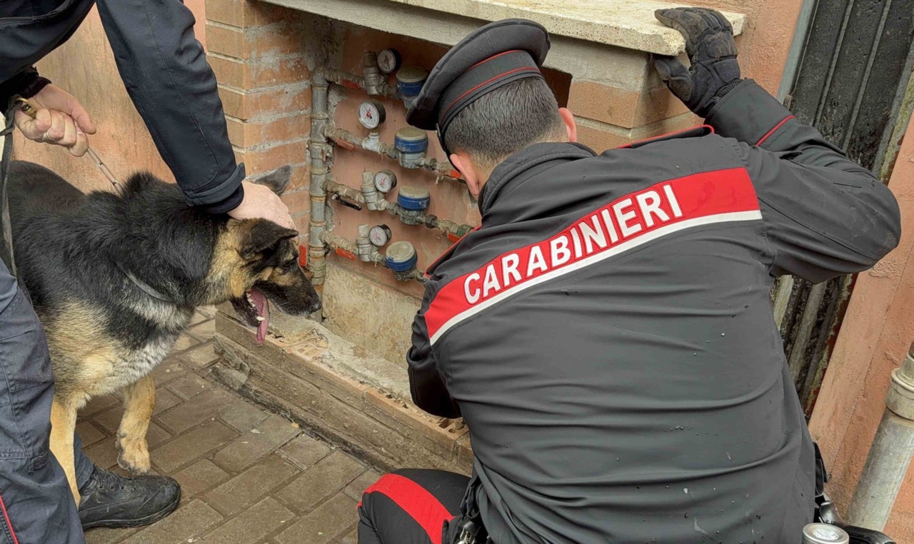 Controlli antidroga portano all’arresto di 19 persone