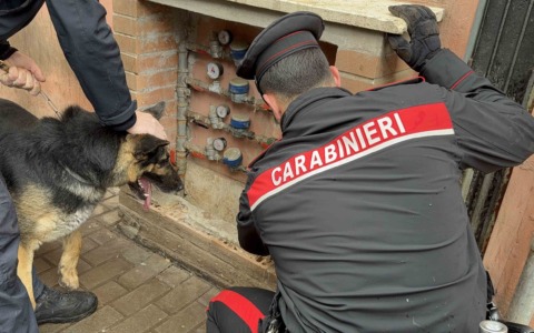 Controlli antidroga portano all’arresto di 19 persone