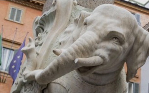 Danneggiata la statua dell’Elefantino in Piazza Minerva