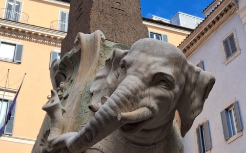 Danneggiata la zanna dell’elefantino della Minerva, pronta la Sovrintendenza