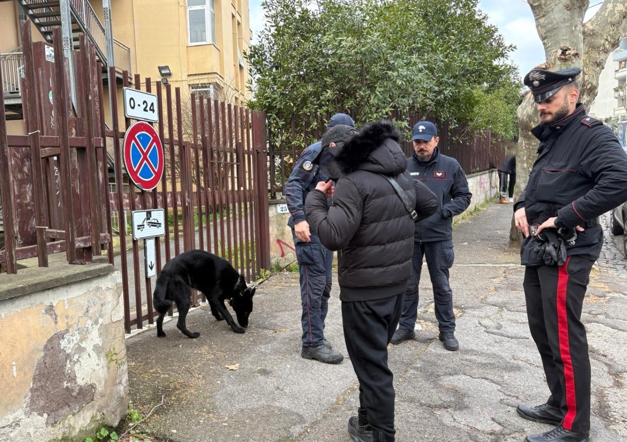 Denunce e sequestri nel contrasto allo spaccio di droga ad Anzio