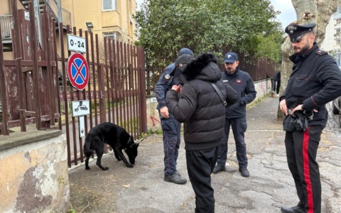 Denunce e sequestri nel contrasto allo spaccio di droga ad Anzio