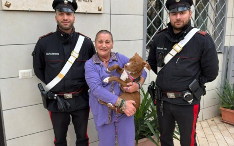 Denunciata una donna per aver chiesto 500 euro per restituire un Pitbull rubato