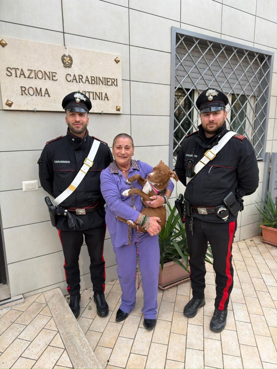 Denunciata una donna per aver chiesto 500 euro per restituire un Pitbull rubato