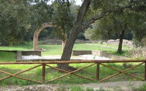 Interventi urgenti sulle alberature della Villa di Plinio a Castel Fusano