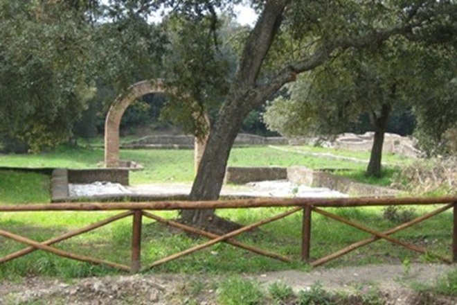 Interventi urgenti sulle alberature della Villa di Plinio a Castel Fusano