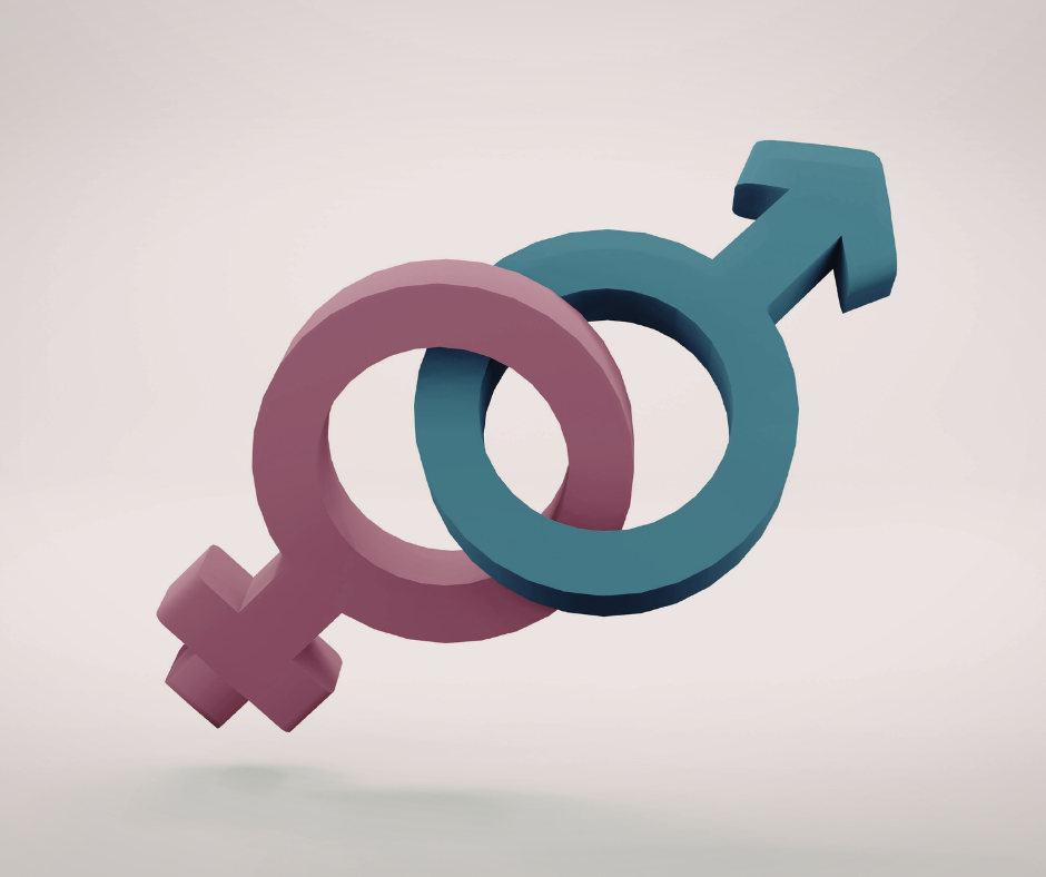 La Camera affronta bollette e riforme nei prossimi mesi