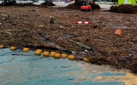 Maltempo, detriti e tronchi alle foci del Tevere