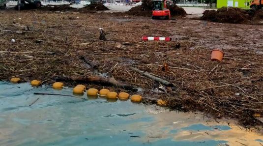 Maltempo, detriti e tronchi alle foci del Tevere