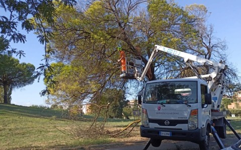 Navette al posto del tram 3 il 16 e 17 febbraio
