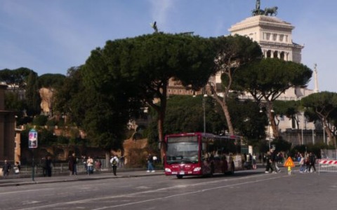 Riapertura di via dei Fori Imperiali dopo la chiusura per crollo di pini