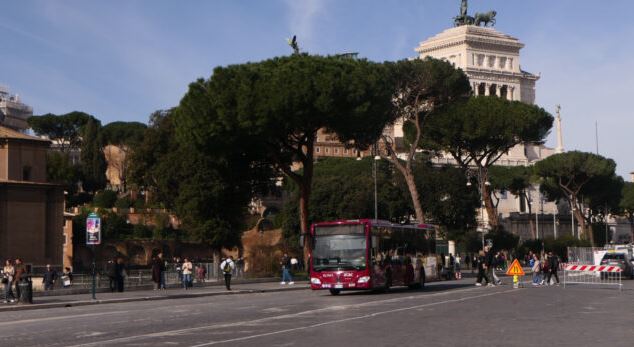 Riapertura di via dei Fori Imperiali dopo la chiusura per crollo di pini