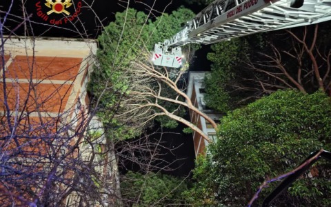 Riapre parzialmente Via dei Fori Imperiali da domani