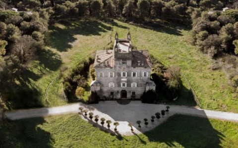 Abbattimento di 27 alberi nella Pineta di Castel Fusano