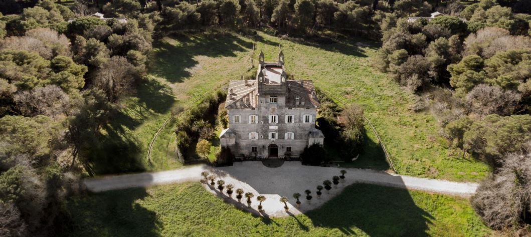 Abbattimento di 27 alberi nella Pineta di Castel Fusano