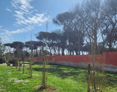 Al via i lavori di messa in sicurezza e piantumazione alla Pinetina di Via Roma