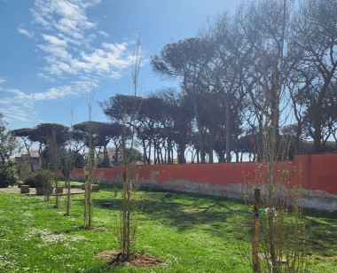 Al via i lavori di messa in sicurezza e piantumazione alla Pinetina di Via Roma