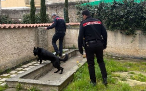 Controlli dei Carabinieri a Anzio: minore con coltello e marijuana, due arresti