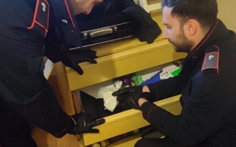Diciotto arresti per droga: dai nascondigli inaspettati alle rivelazioni di liti familiari